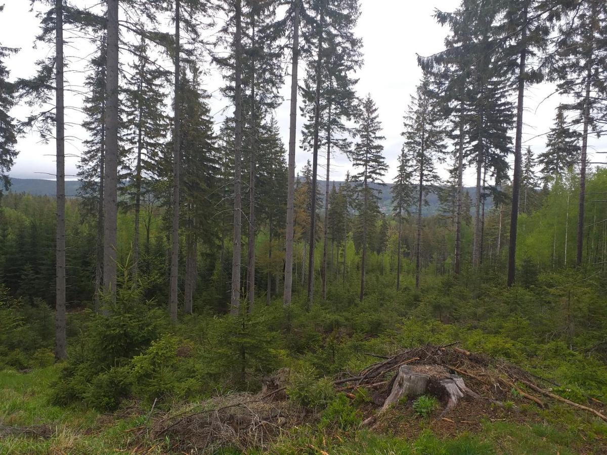 Apartament Przy Szlaku Szklarska Poreba Bagian luar foto